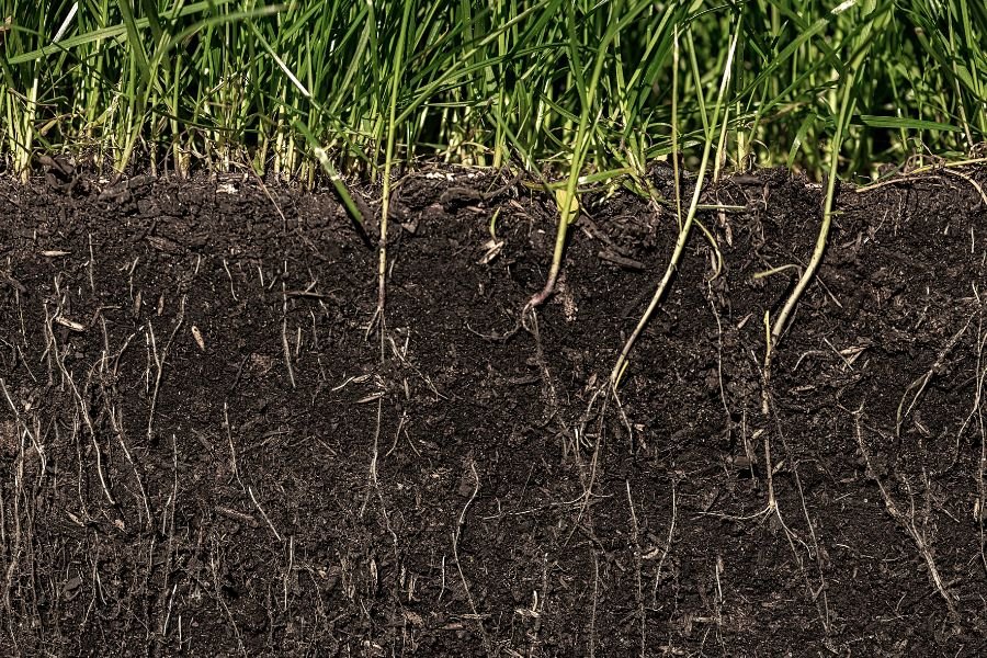 terranutrix soil health nutrition program