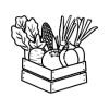 fertilizer for Vegetables