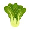 vegetable fertilizers
