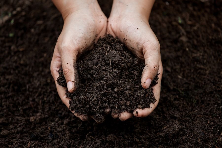 TerraNutrix fertilizer for Soil health
