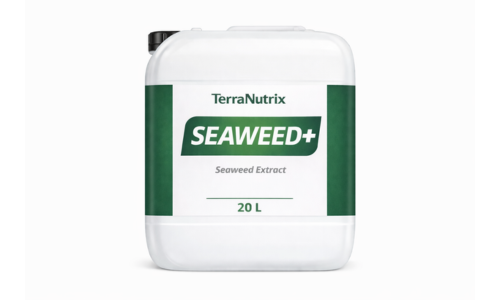 liquid seaweed extracts