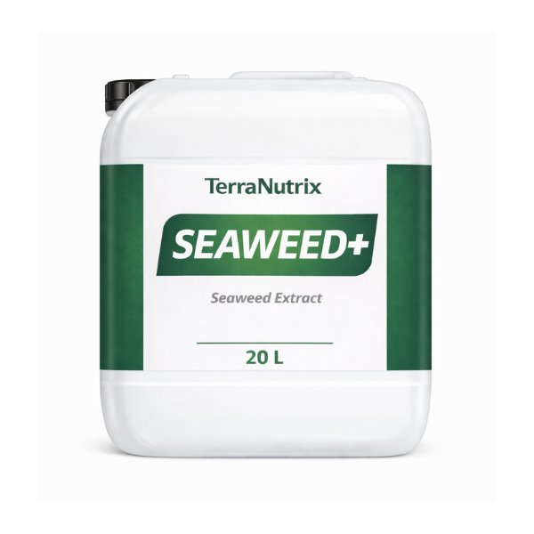 liquid seaweed fertilizer