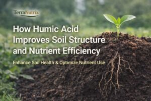 humic acid fertilizer