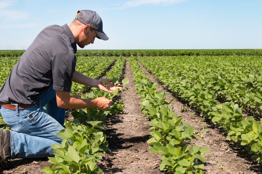 TERRANUTRIX AGRICULTURE