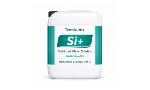 liquid silicon fertilizer
