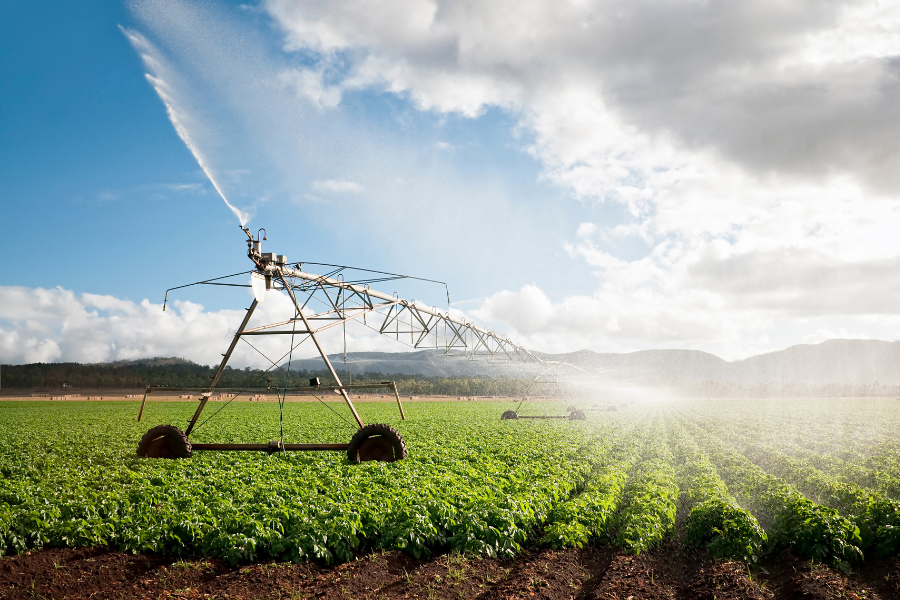 Crop Nutrition