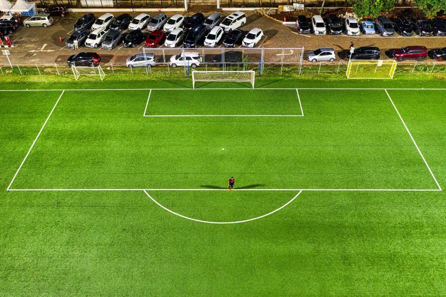 Sports Turf