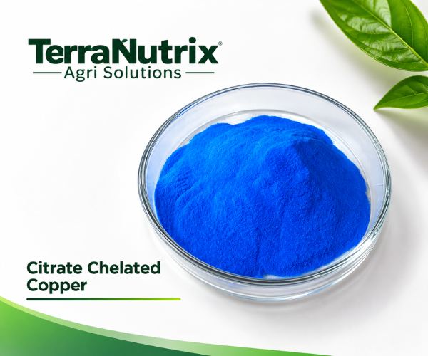Citrate Chelated Copper