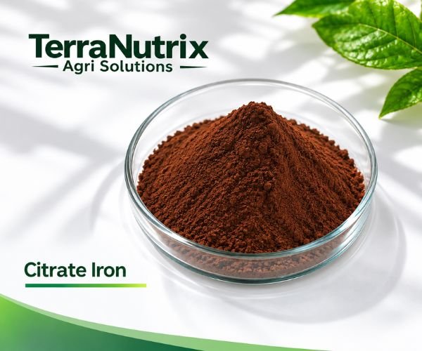 citrate chelated iron