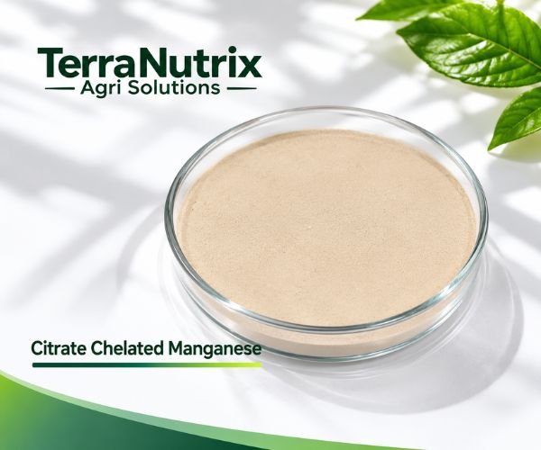 Citrate Chelated Manganese