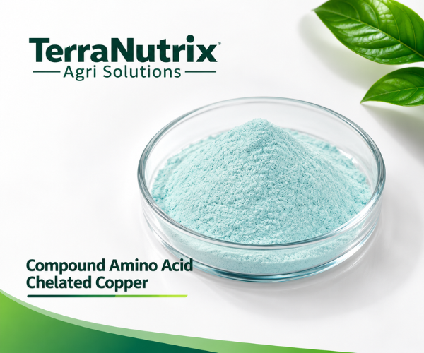 Compound Amino Acid Chelated Copper