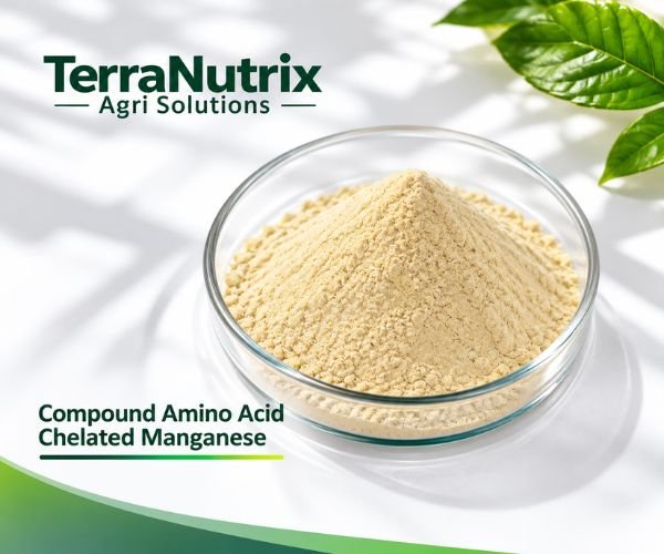Compound Amino Acid Chelated Manganese