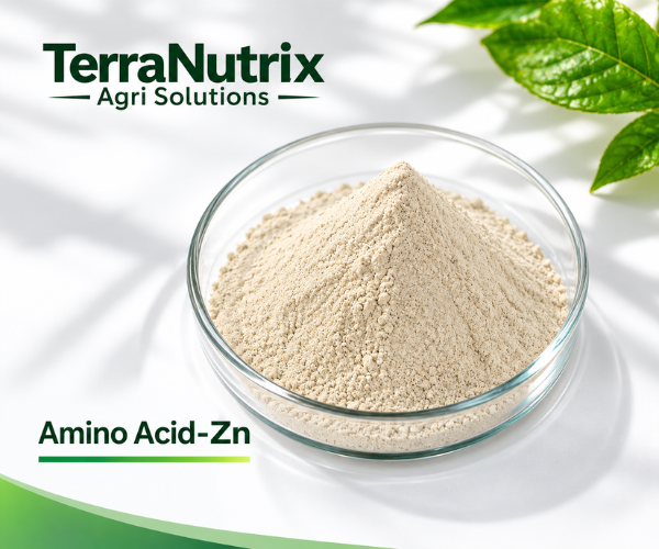 amino acid zinc
