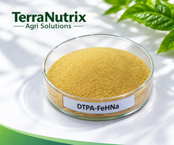 DTPA chelated iron