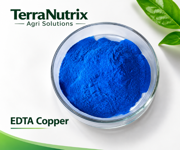 Chelated copper fertilizer