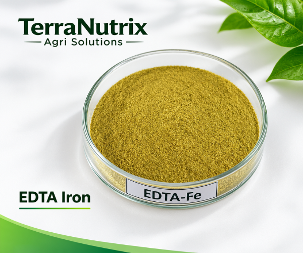 Micronutrient Ingredients