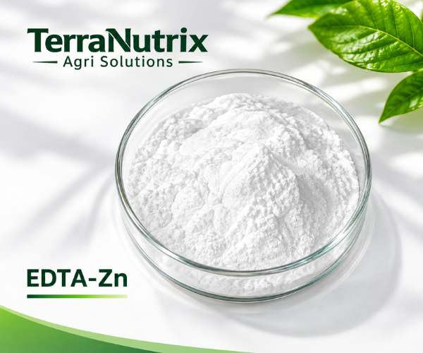 EDTA Zn Fertilizer