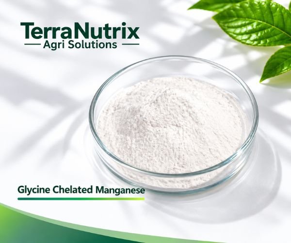 Glycine Chelated Manganese