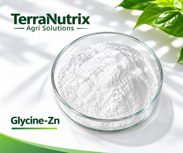 Amino acid zinc