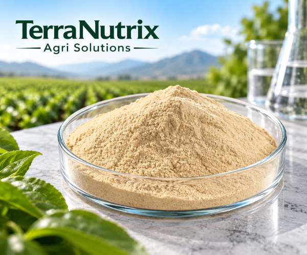 Plant Amino Acid Powder 80%
